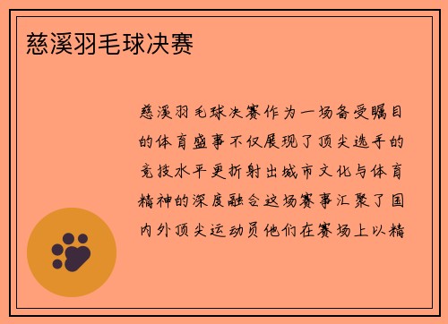 慈溪羽毛球决赛