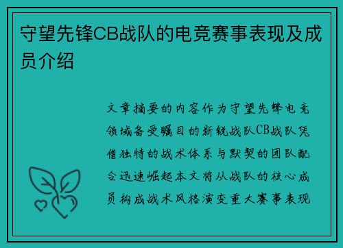 守望先锋CB战队的电竞赛事表现及成员介绍